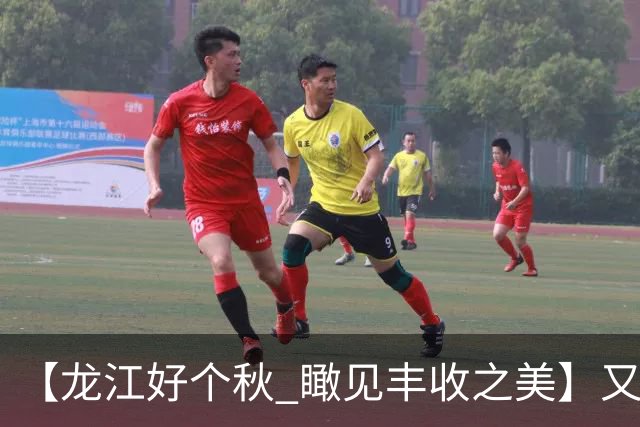 【龙江好个秋 瞰见丰收之美】又是一年丰收节 黑土地上甜蜜蜜