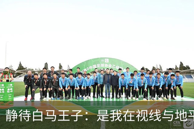 静待白马王子：是我在视线与地平线之间为你留出的可调节焦距